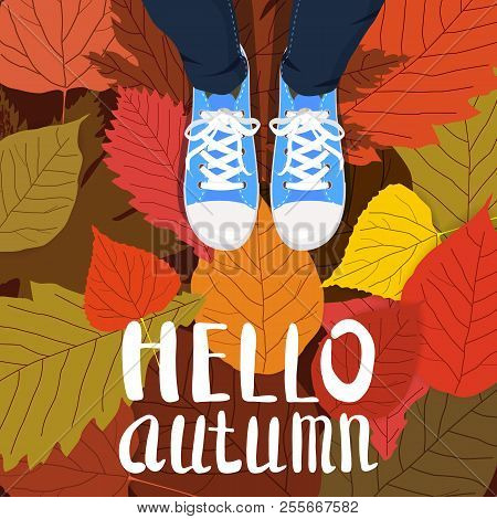Hello Autumn Color Illustration. Person Feet Standing In Sneakers On Yellow, Red, Green Fallen Leave