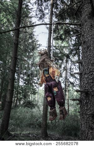 Sinister Image With A Shabby Scarecrow, Hanged With A Rope From A Tree Branch, In A  Dark Forest. A 