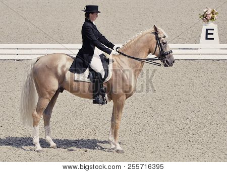 Young Elegant Rider Woman And Isabelline Horse. Beautiful Girl At Advanced Dressage Test On Equestri