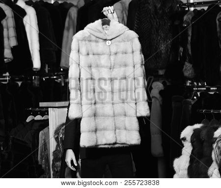 Fur Coat In Beige Color In Mans Hand. Mink Fur Coat On Furry Coats Background. Luxury Clothing Conce