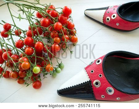 GOMEL, BELARUS - AUGUST 16, 2018: Versus (Versace) women's shoes. Versus (Versace) is the diffusion line of Italian luxury fashion house Versace.