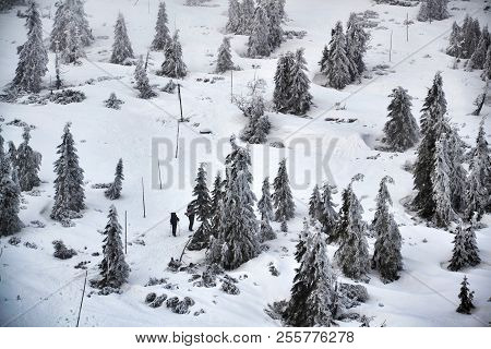 People Walk In Snowy Winter Mountains Country, Krkonose, Freezing Weather