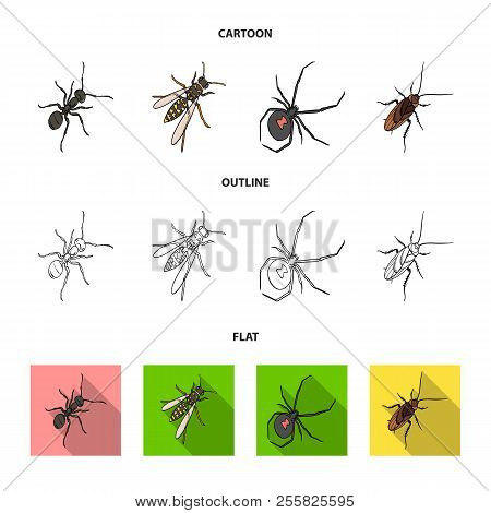 An Insect Arthropod, An Osa, A Spider, A Cockroach. Insects Set Collection Icons In Cartoon, Outline