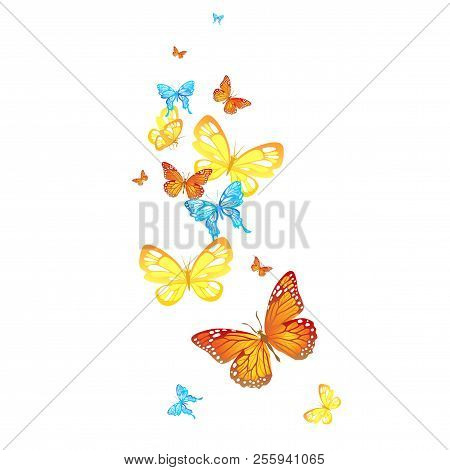 Beautiful Butterfly Isolated. Insect Icon. Summer Vector Illustration