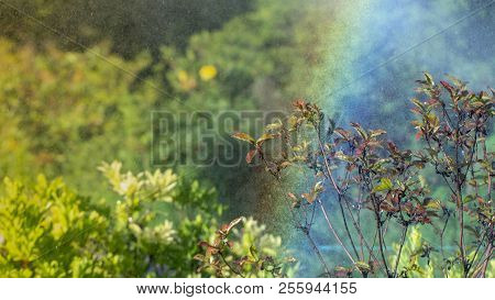 Automatic Sprinkler System Watering The Lawn On A Background Of Green Grass