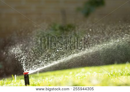 Automatic Sprinkler System Watering The Lawn On A Background Of Green Grass