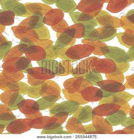 Autumn Multicolored Leaves Of Different Shapes Superimposed On Each Other A Vectorial Seamless Patte