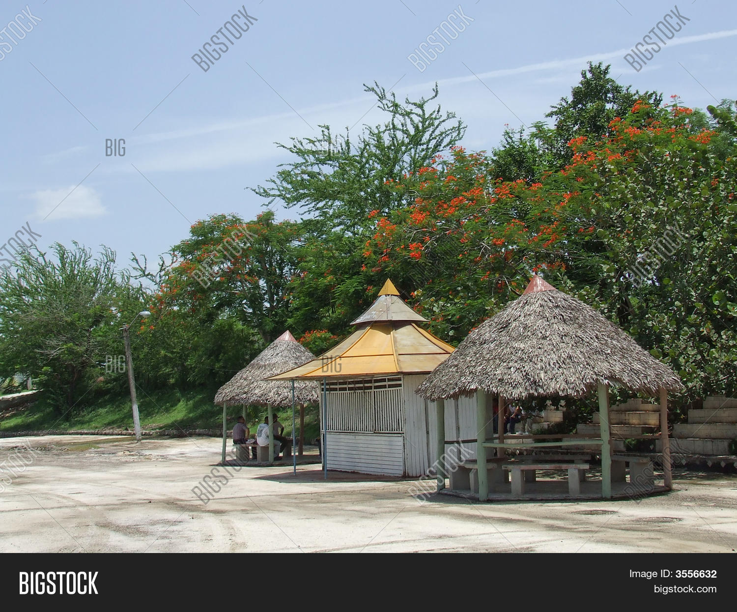 Image Preview