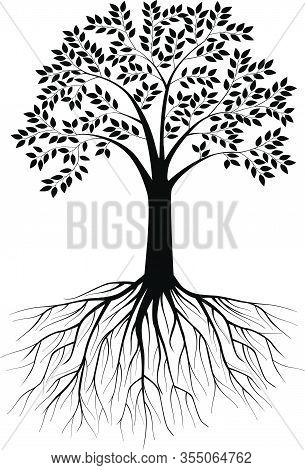 Vector Illustration Of Tree Silhouette With Roots On White Background