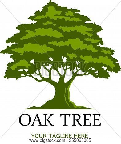 Green Oak Tree Logo Template On White Background