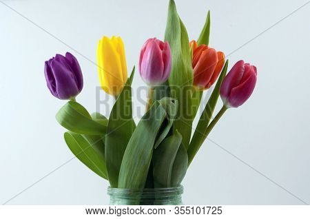 Bouquet With Tulips Stands On A White Background