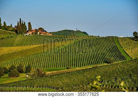 Austria Vineyards Sulztal An Der Weinstrasse South Styria , Wine Country Tourist Spot.