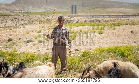 Shiraz, Iran - May 2019: Qashqai Turkish Shephard Man With His Goats