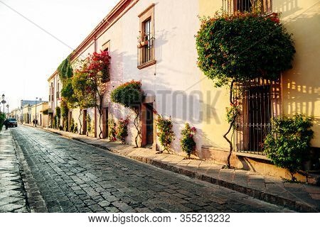 Beautiful Street Paved With Cobblestone, With Trees In A Sunny Summer Day