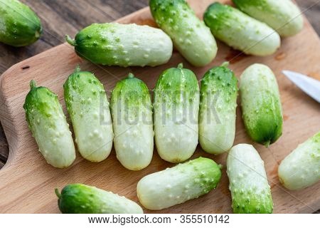 Small Snack Cocktail Dutch Cucumbers Quirk Variety On Wooden Background, Selective Focus