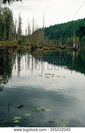 Alouette Lake In The Golden Ears Provincial Park, British Columbia, Canada