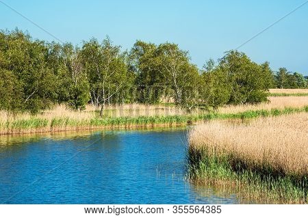 Landscape With River And Trees In Prerow, Germany.