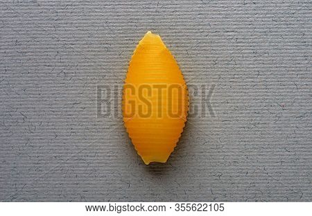 Single Shell Pasta (conciglie) On A Gray Background. Italian National Cuisine - Raw Pasta