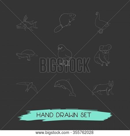 Set Of Animal Icons Line Style Symbols With Little Chicken, Swift, Turtle And Other Icons For Your W