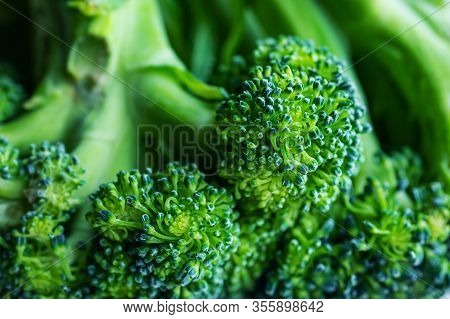 Fresh Broccoli Close-up. Background Macro Photo Of Food. The Concept Of Wholesome Food, Veganism.