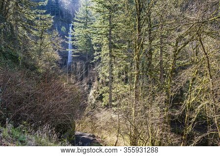 Latourell Falls And Columbia Gorge Landscape Oregon.