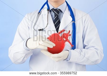 Doctor Hold Heart Check Heart Disease , Cardiology Symptoms , 3d Concept