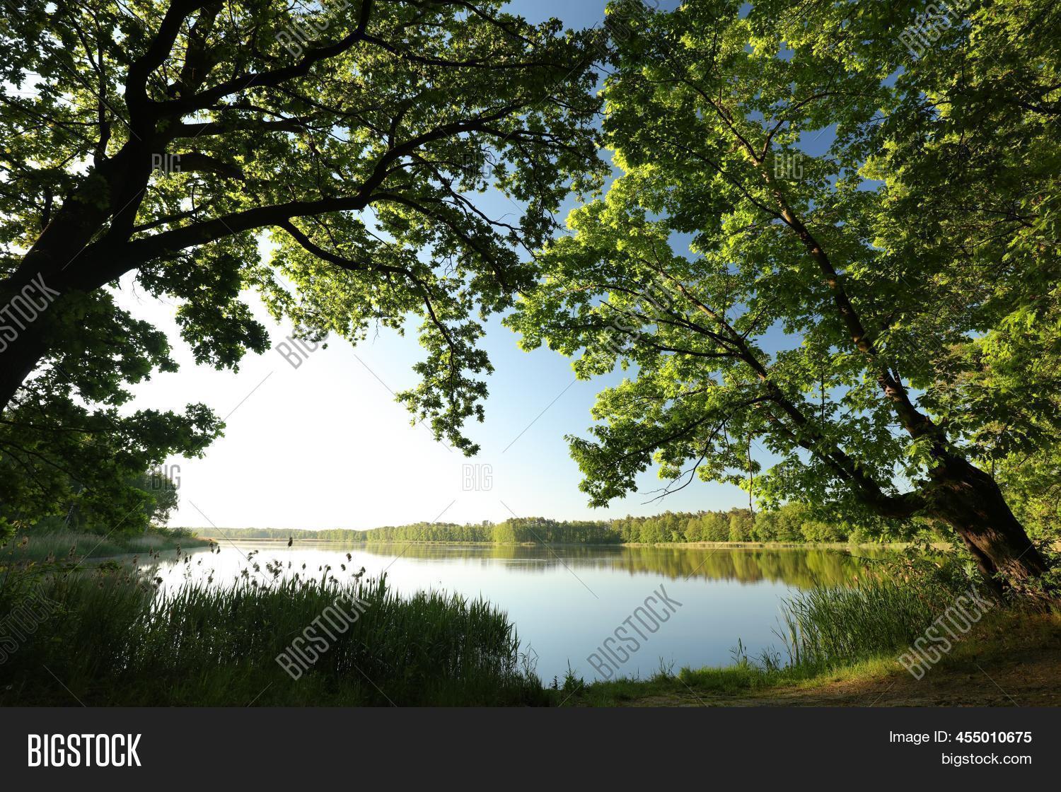Image Preview