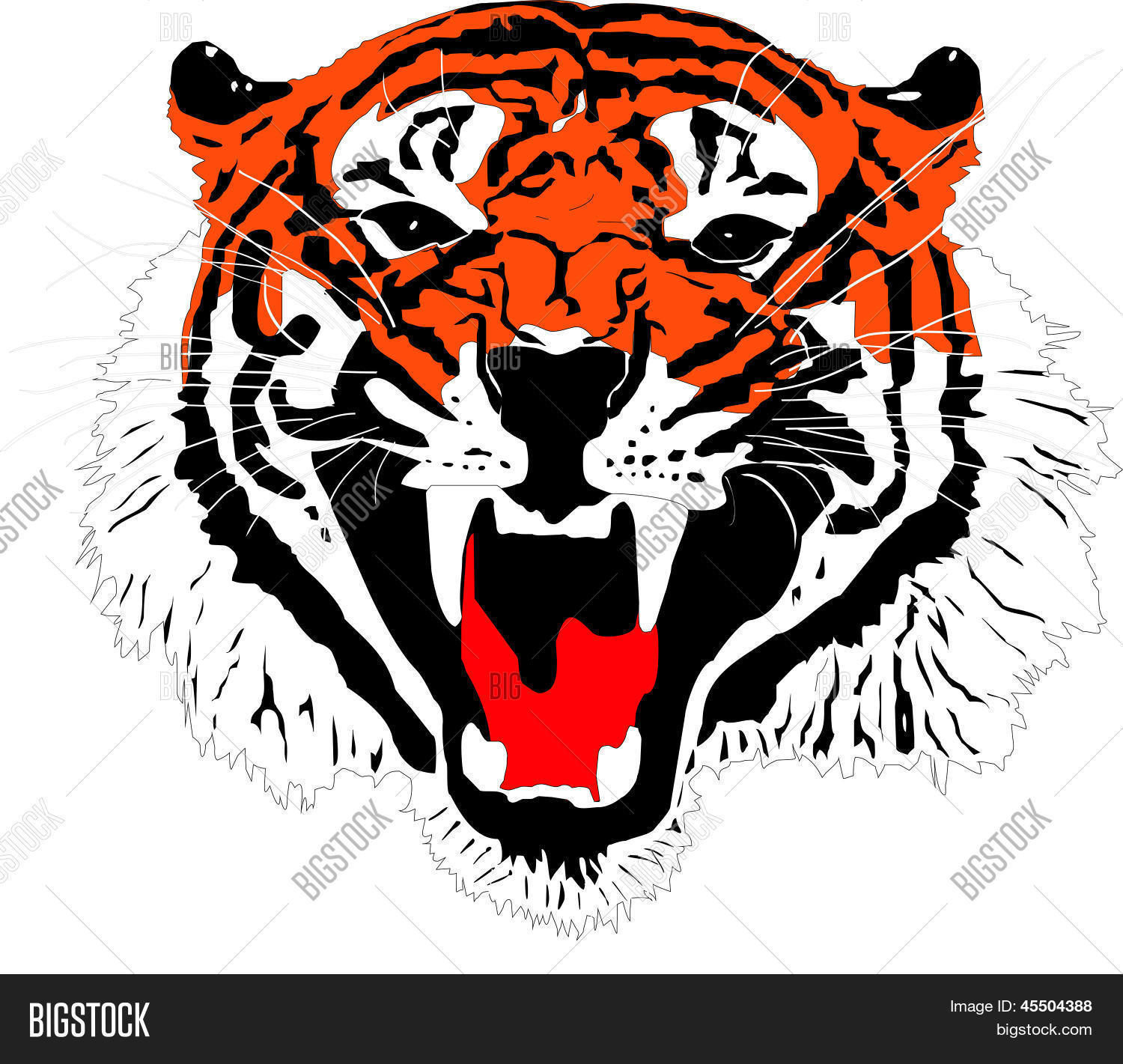 Image Preview