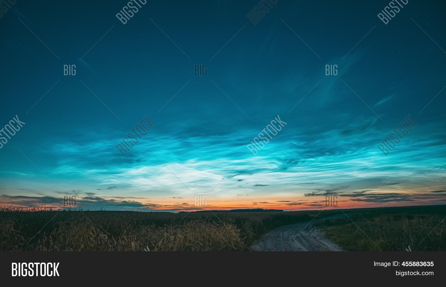 4k Night Starry Sky Image & Photo (Free Trial) | Bigstock