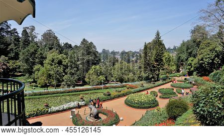 Beautiful Government Botanical Gardens In Ooty, Tamilnadu, India.