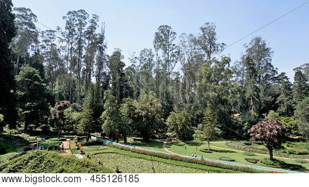 Beautiful Government Botanical Gardens In Ooty, Tamilnadu, India.