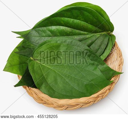 Edible Betel Leaves Fresh And Organic Over White Background