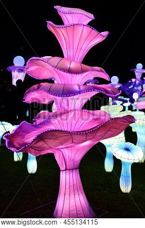 Randalls Island Park, Ny - Jan 2: Luminocity Festival At Randalls Island Park In New York City, As S