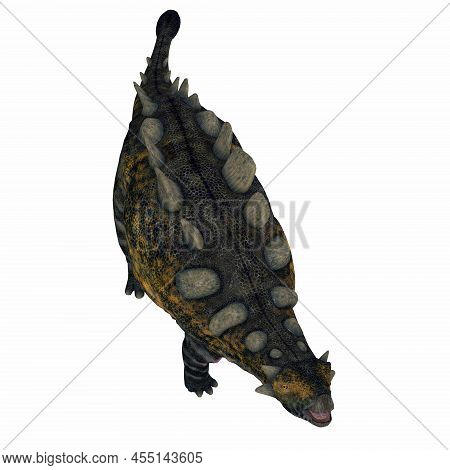 Crichtonsaurus Dinosaur Armor 3d Illustration - Crichtonsaurus Was An Herbivorous Armored Ankylosaur