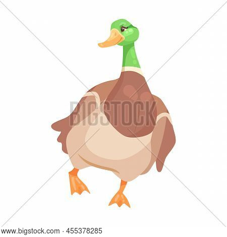 Duck Cartoon Illustration. Little Yellow Ducks Fighting For Worm, Following Mother, Swimming In Lake