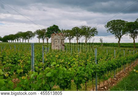 Dark Clouds Over The Vineyard Tower In The Wonnegau Near Floersheim Dalsheim, Germany