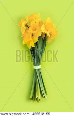 Set Of Beautiful Yellow Daffodils Lie On Green Background. Flat Lay Top View With Copy Space For  Yo
