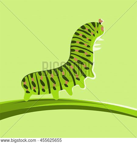 Green Caterpillar Crawling On A Leaf. Butterfly Larva. Insect Pest. Striped Color. Animals And Wildl