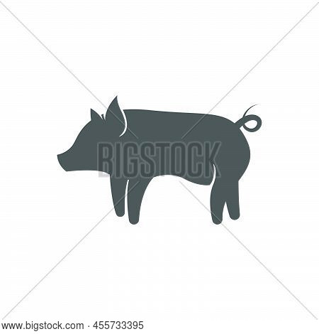 Pig Icon Logo Design Concept Illustration Template