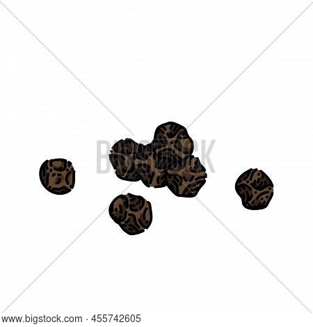 Black Pepper Grain Sketch Hand Drawn Vector Whole Seed, Condiment Pile, Hot Corn Vintage Color Line 