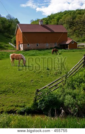 Foråret Farm