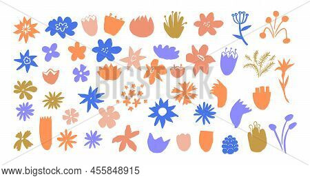 Colorful Hand Drawn Floral Elements With Doodle Flower Pistils On White Background, Modern Landscape