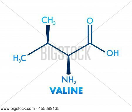 Valine Formula For Medical Design.valine Formula, Great Design For Any Purposes
