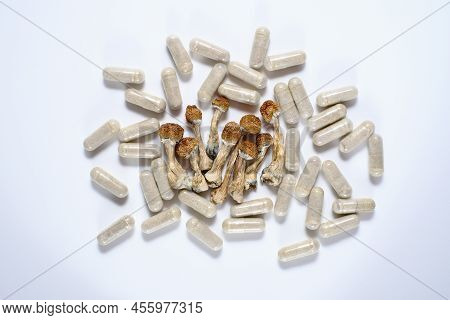 Micro Dosing Concept. Dry Psilocybin Mushrooms And Natural Herbal Pills On Grey Background. Psychede