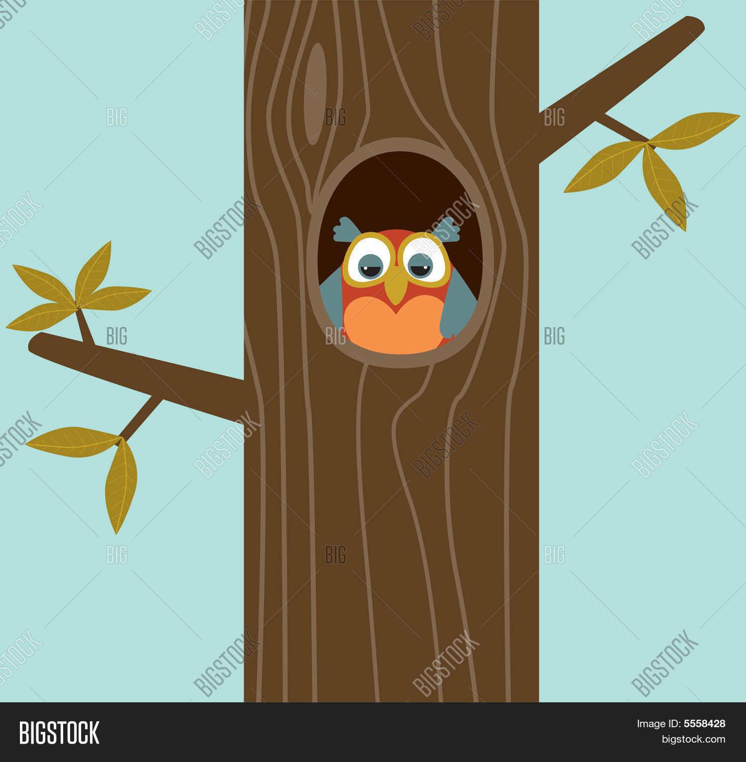 Image Preview