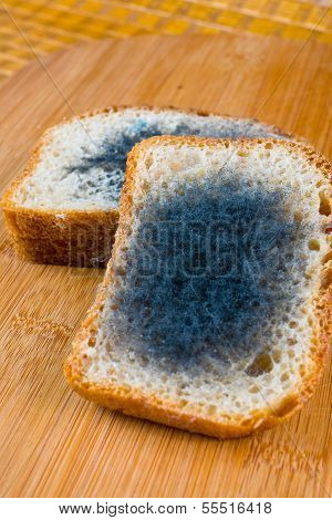 Moldy Bread On A Chopping Board