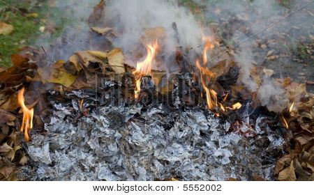 Torna su fuoco