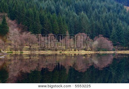 Loch Chon