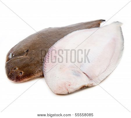 Whole Couple Fresh Sole Fish On White Background