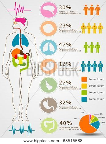 Silhouettes Of The People And Organs In Circle